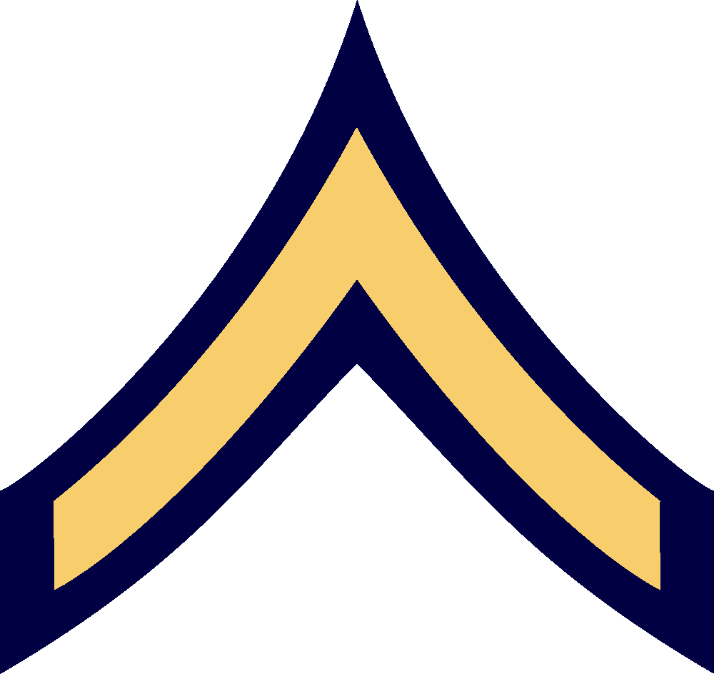 A PRIVATE'S SLEEVE INSIGNIA FOR WEAR ON THE SERVICE DRESS UNIFORM SHIRT