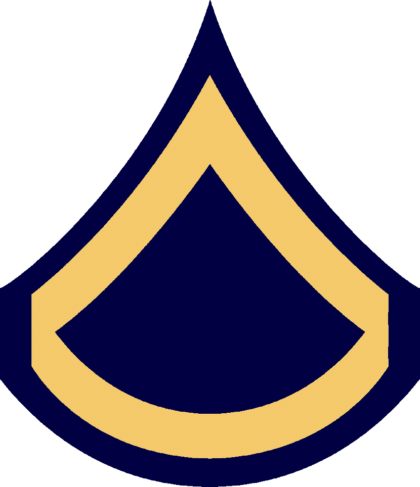 A PRIVATE FIRST CLASS' SLEEVE INSIGNIA FOR WEAR ON THE SERVICE DRESS UNIFORM SHIRT