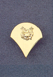 THE BRIGHT METAL PIN-ON INSIGNIA OF A SPECIALIST FOR WEAR UPON CIVILIAN DRESS